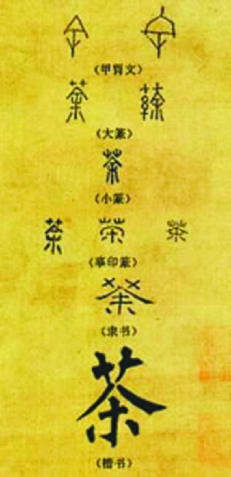 大策文化