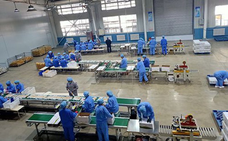 国学培训的安装与维护：开启文化的钥匙